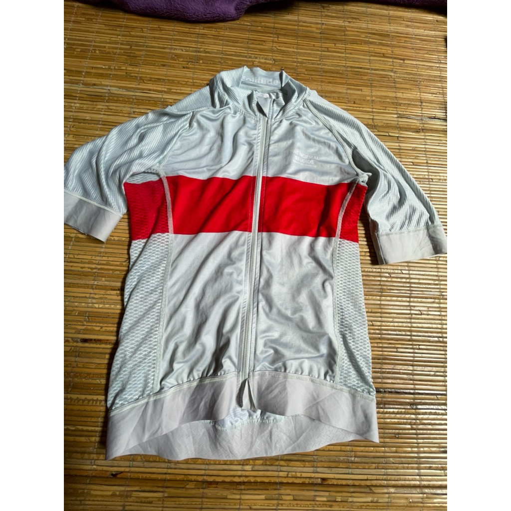 Jersey sepeda pria PNS preloved
