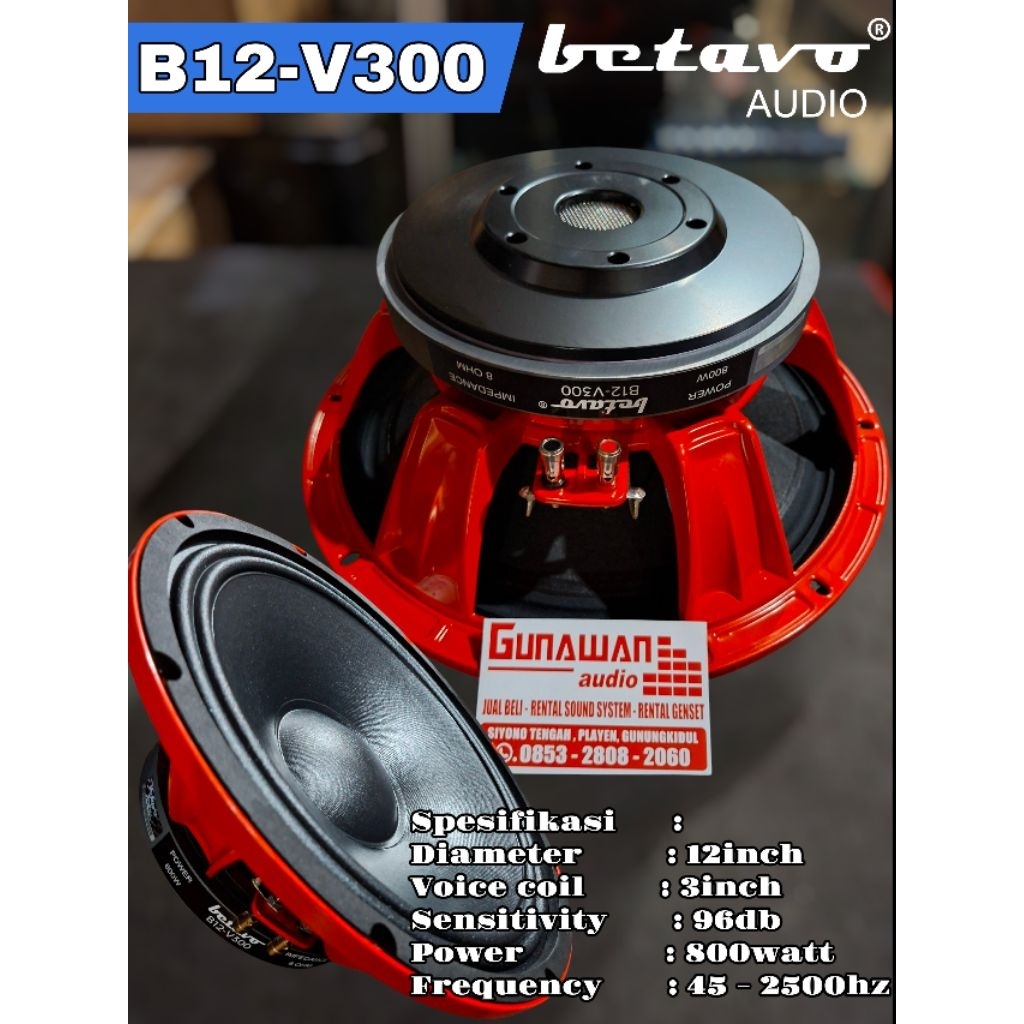 speaker 12inch BETAVO B12-V300