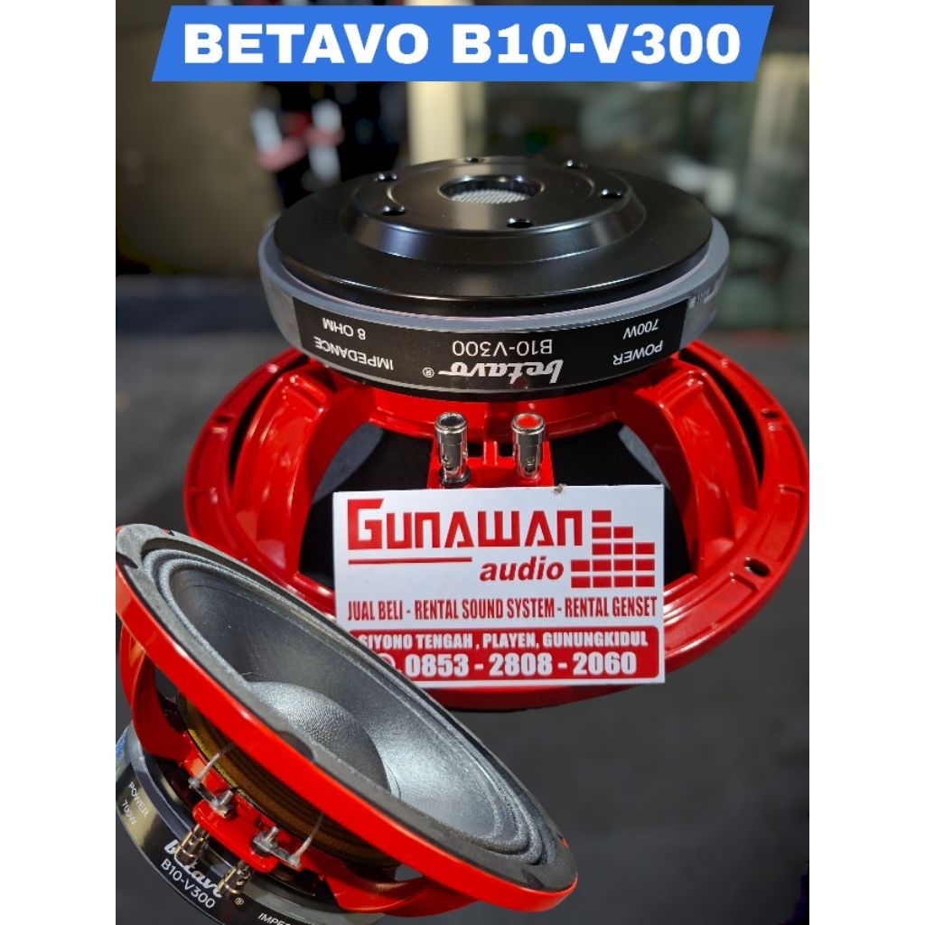 speaker 10inch BETAVO B10-V300