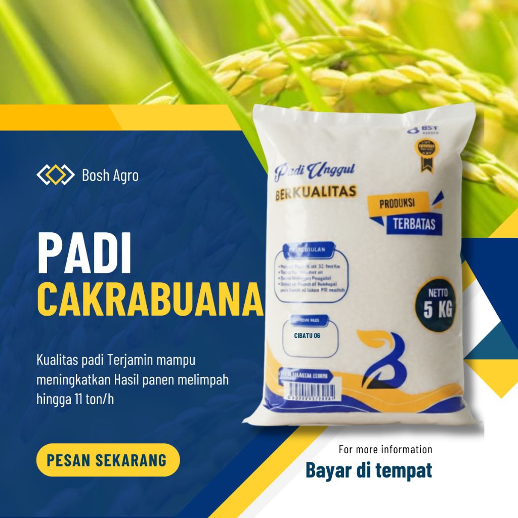 Benih padi unggul Cakrabuana 04 kemasan 5kg