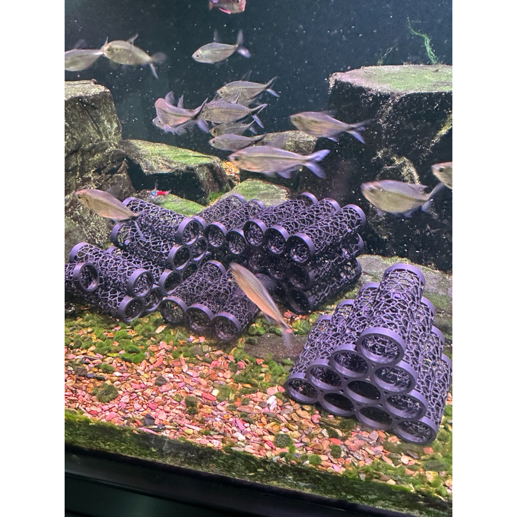 Lebih Besar ukuran 2x6 cm, Rumah Sembunyi Aquarium Tenggelam – Shelter Udang & Ikan Kecil Tanpa Lem 