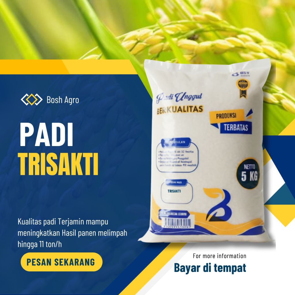 Benih padi unggul Trisakti kemasan 5kg