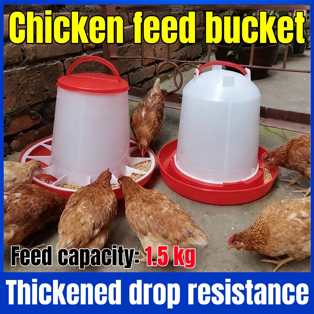 Tempat makan ayam anti tumpah otomatis wadah pakan ayam