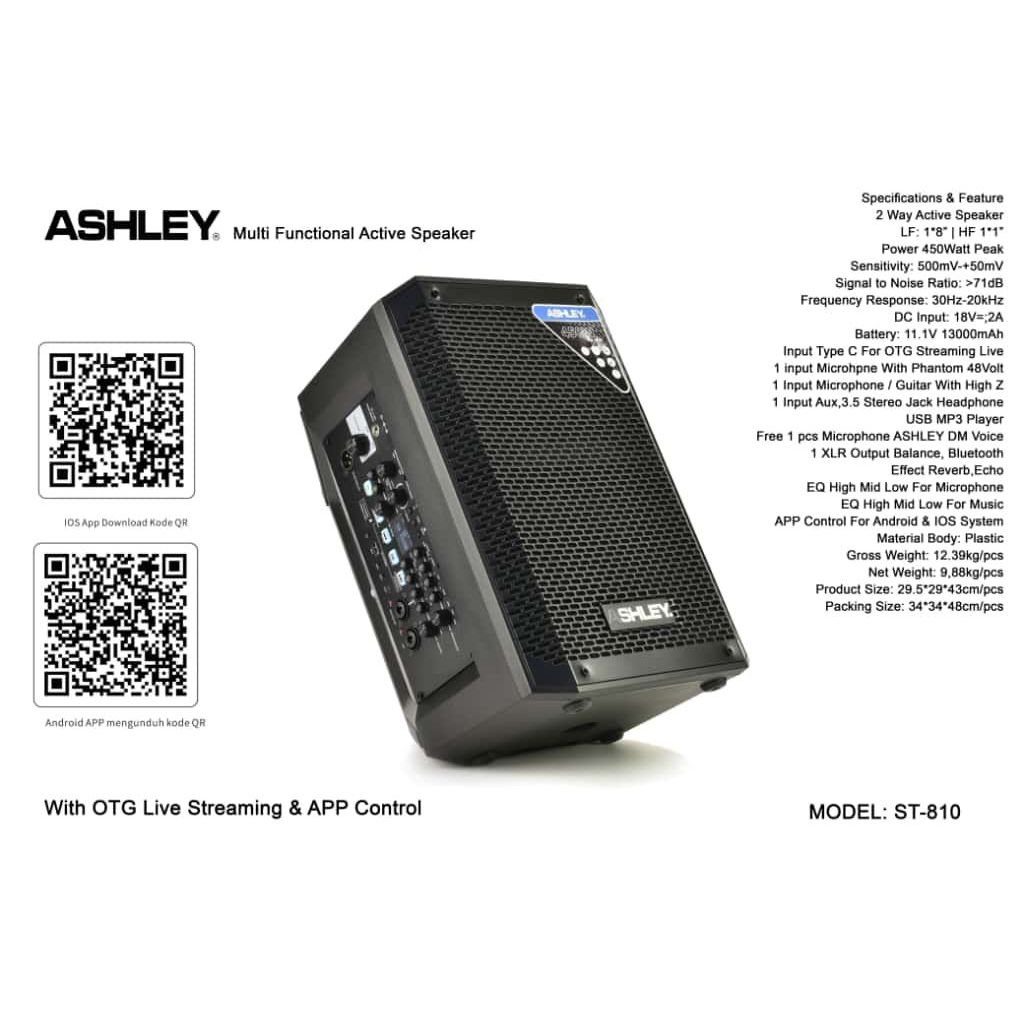 Speaker ASHLEY ST810 ST 810