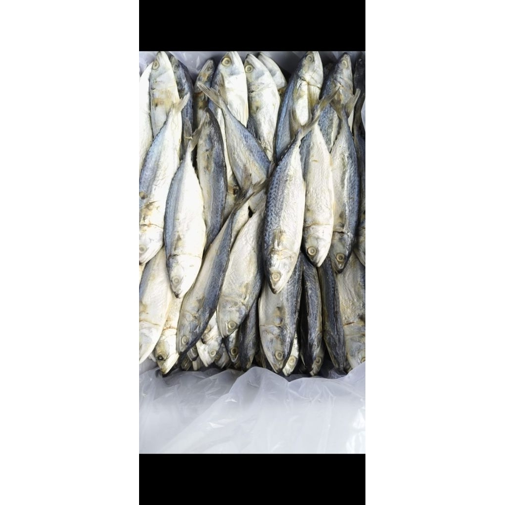ikan asin Peda jumbo super 500gram