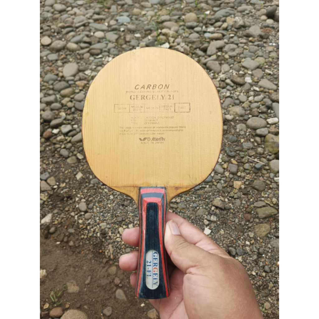 butterfly gergely 21