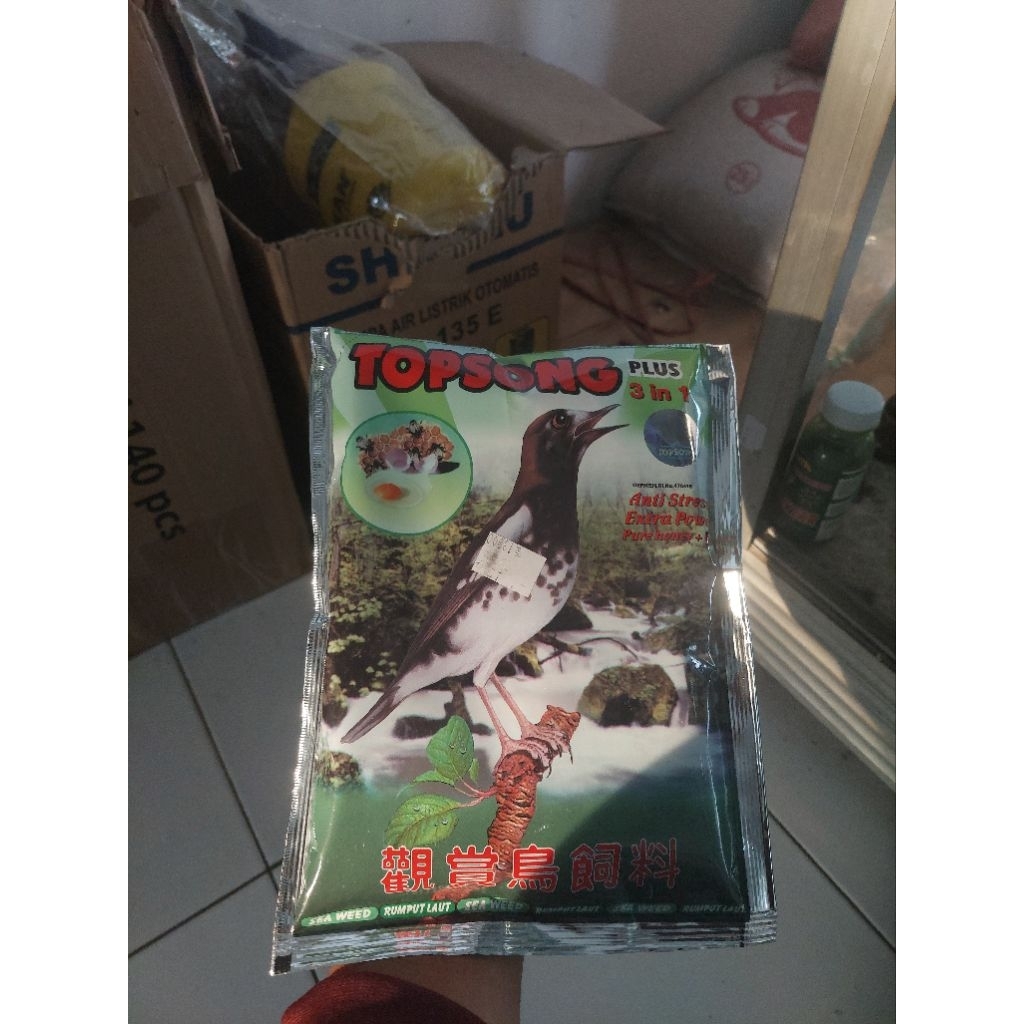 TOPSONG HIJAU VOER Burung Berkicau