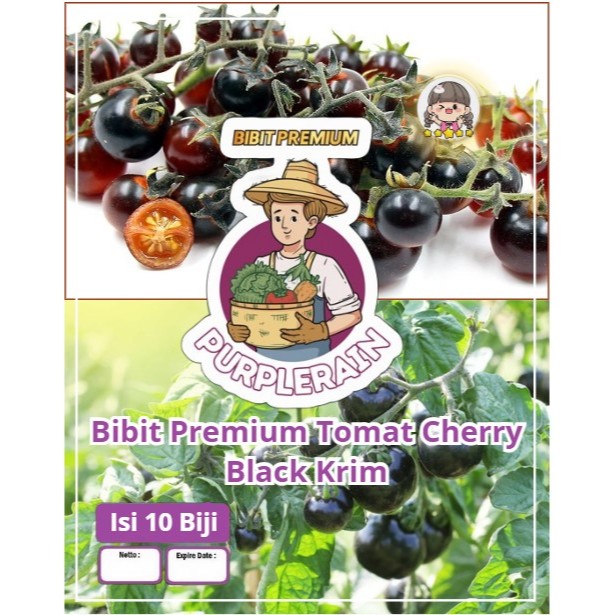 Bibit Premium Tomat Cherry Black Krim | Biji Benih Tomat Ceri Hitam | Tomat Cherry Hitam