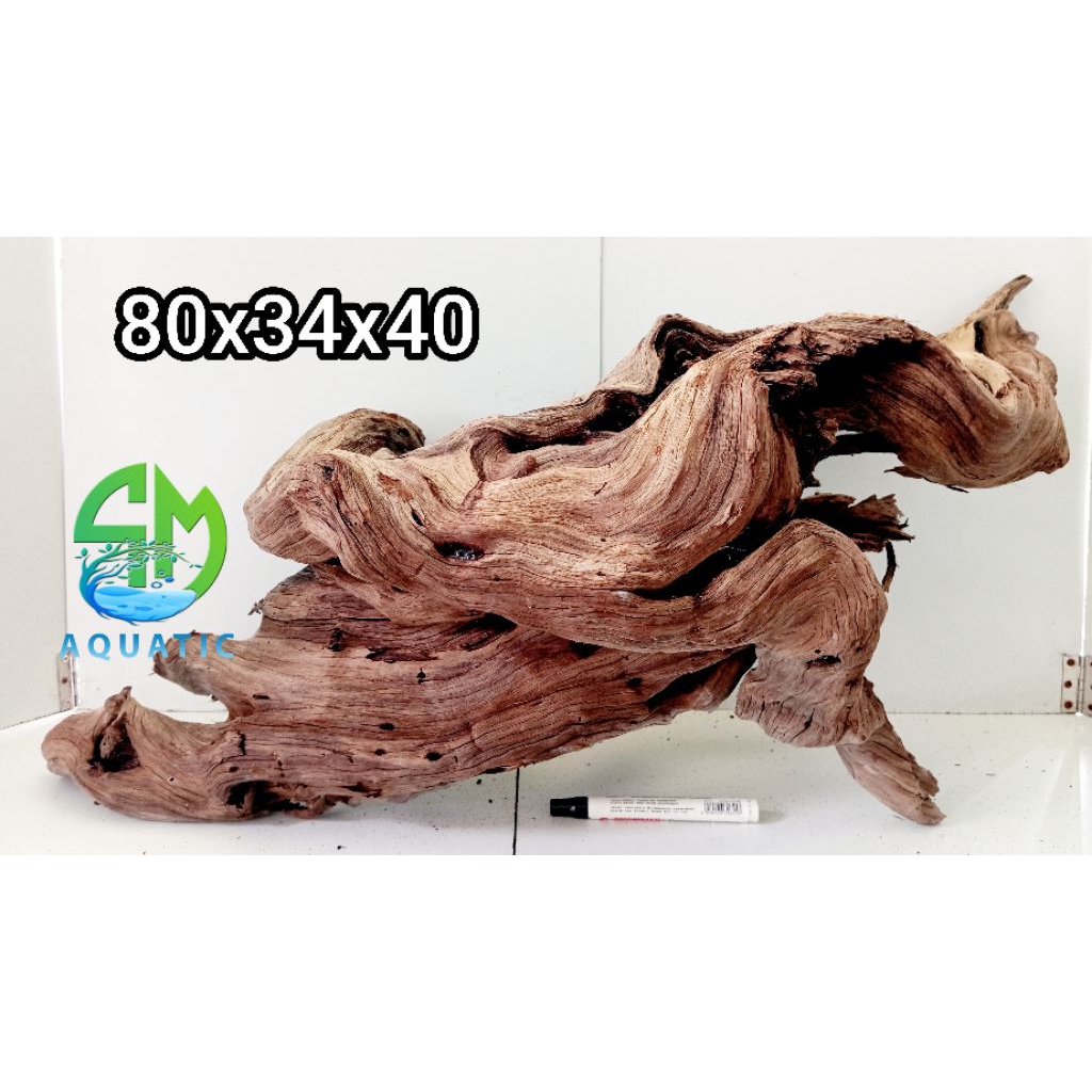 santigi laut tenggelam aquascape