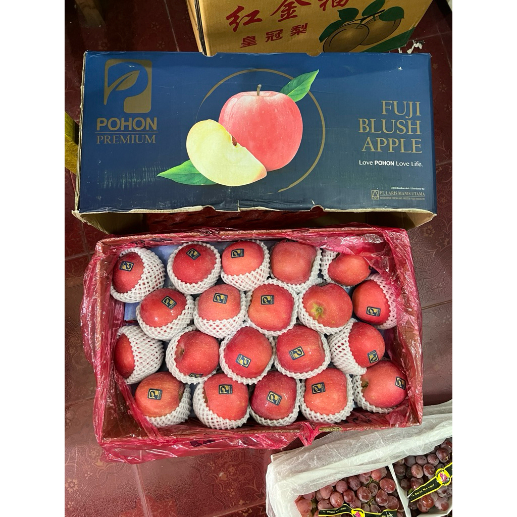 Apel Fuji Pohon Premium