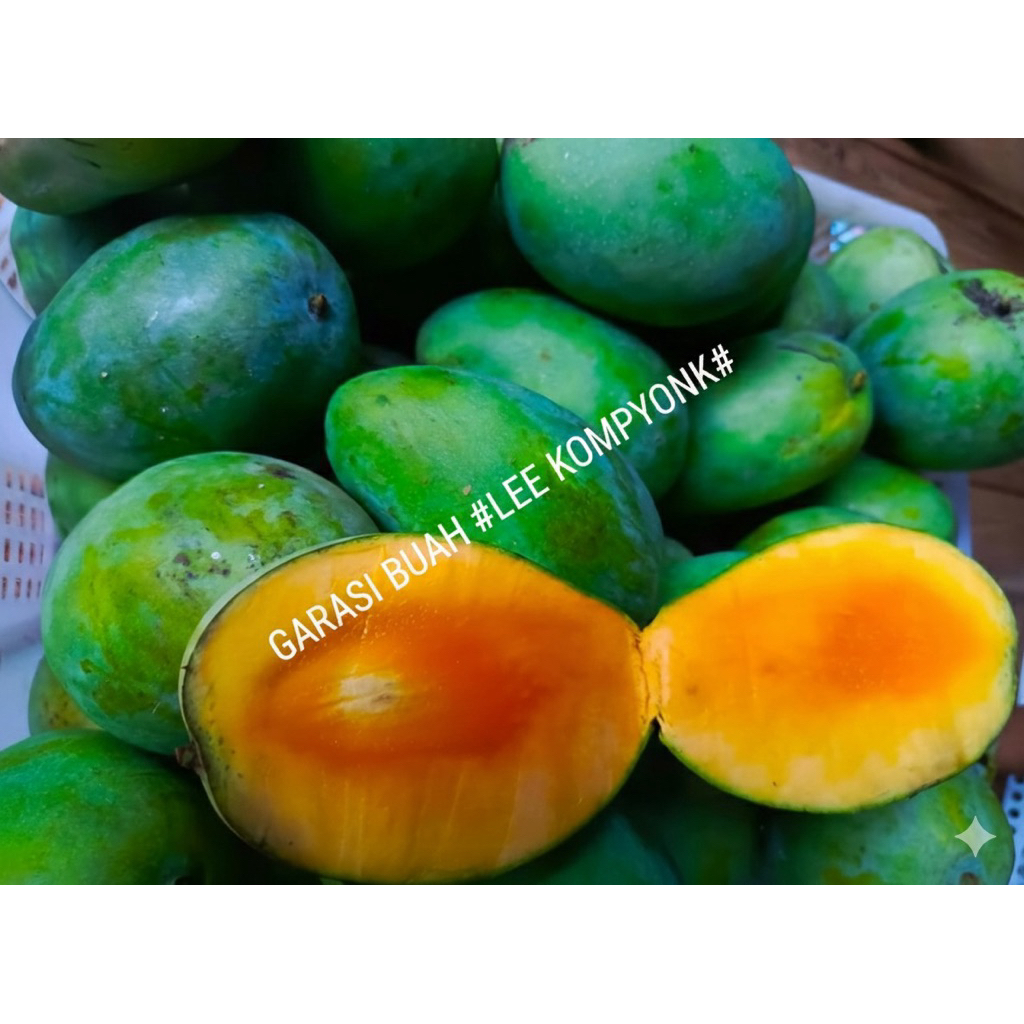 MANGGA MANALAGI 1Kg