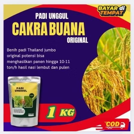 bibit padi Cakrabuana 04 kemasan 1kg terlaris