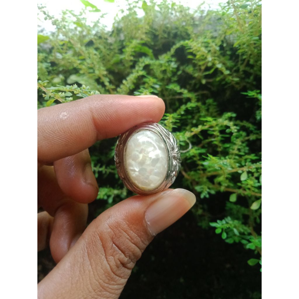 fosil kerang mutiara