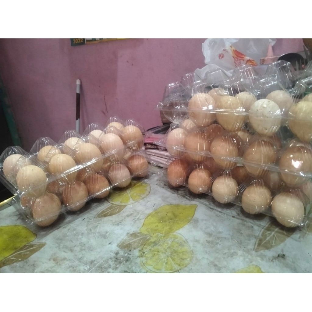 telur ayam kampung arab kosumsi