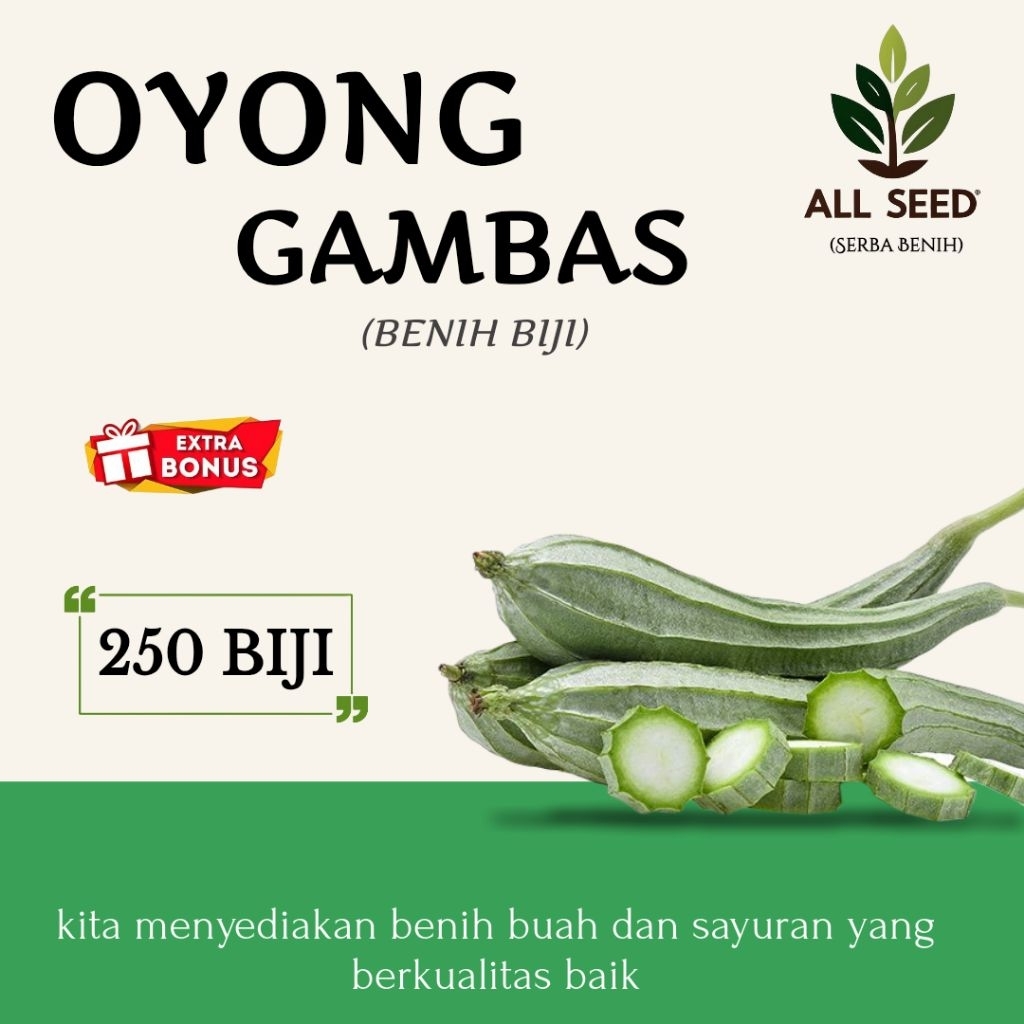 ( 250 biji ) Benih oyong gambas | bibit biji emes | oyong/emes