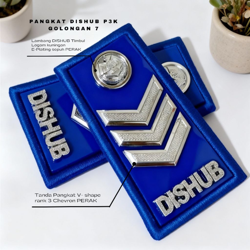 PANGKAT DISHUB PPPK GOLONGAN 7 FORMAL ELEGAN
