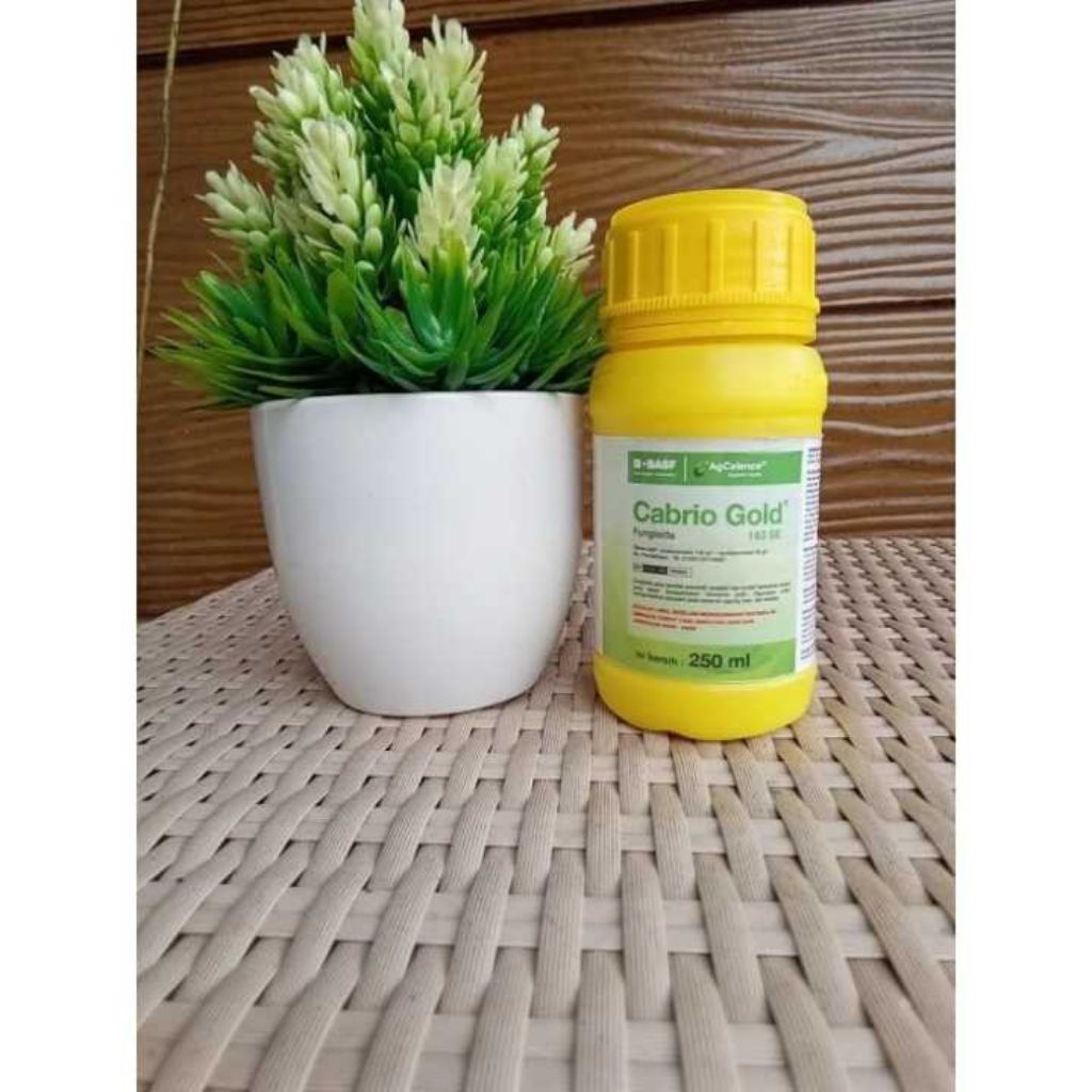 Cabrio Gold 183 SE 250ml