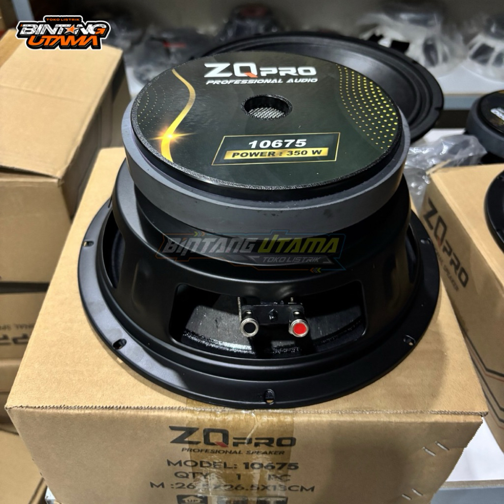 speaker zqpro 10inc 10675