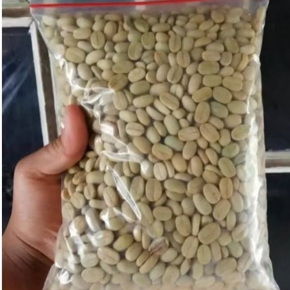 bibit benih biji kopi robusta klon bagio 1.000 butir