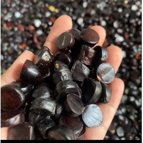 jolang jaling / KABAU dari Lampung 1 kg