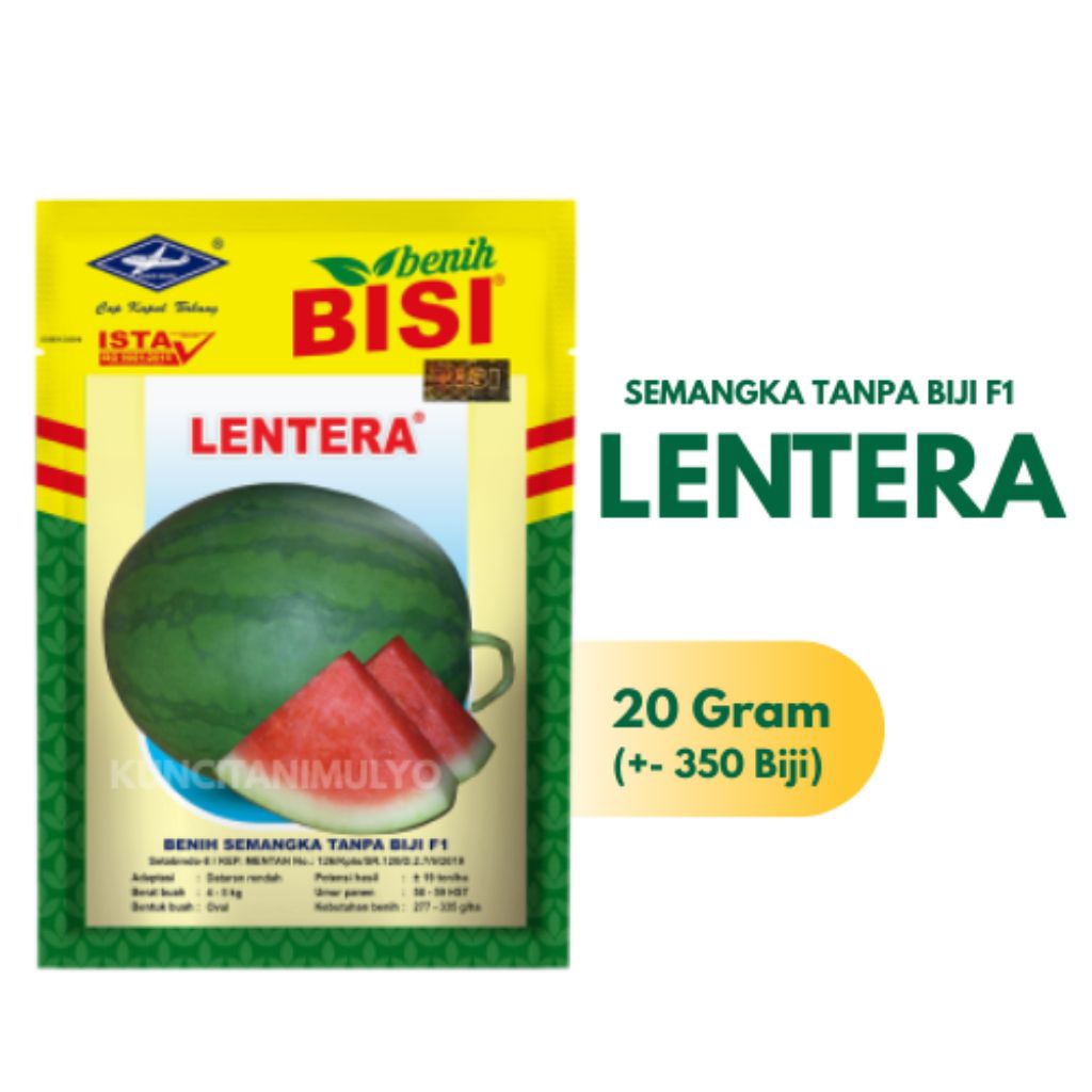 Benih Semangka Non Biji F1 LENTERA Cap Kapal Terbang (20 gram)