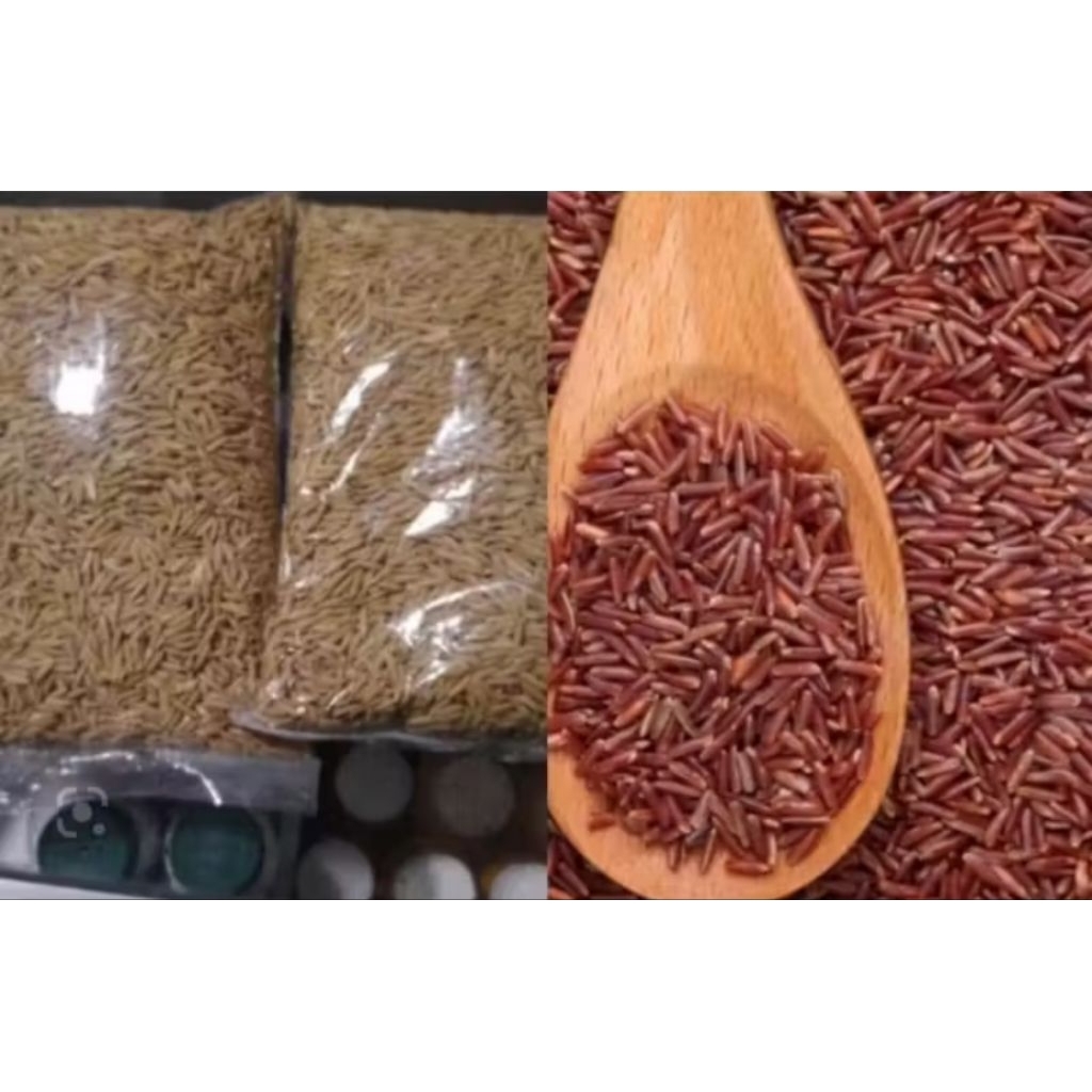 benih padi beras merah unggul berkualitas 1 kg