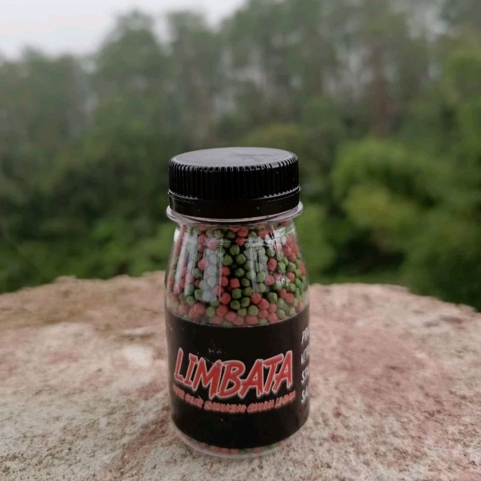 Pelet Limbata Super Color Channa Limbata by RKFish Aquatic