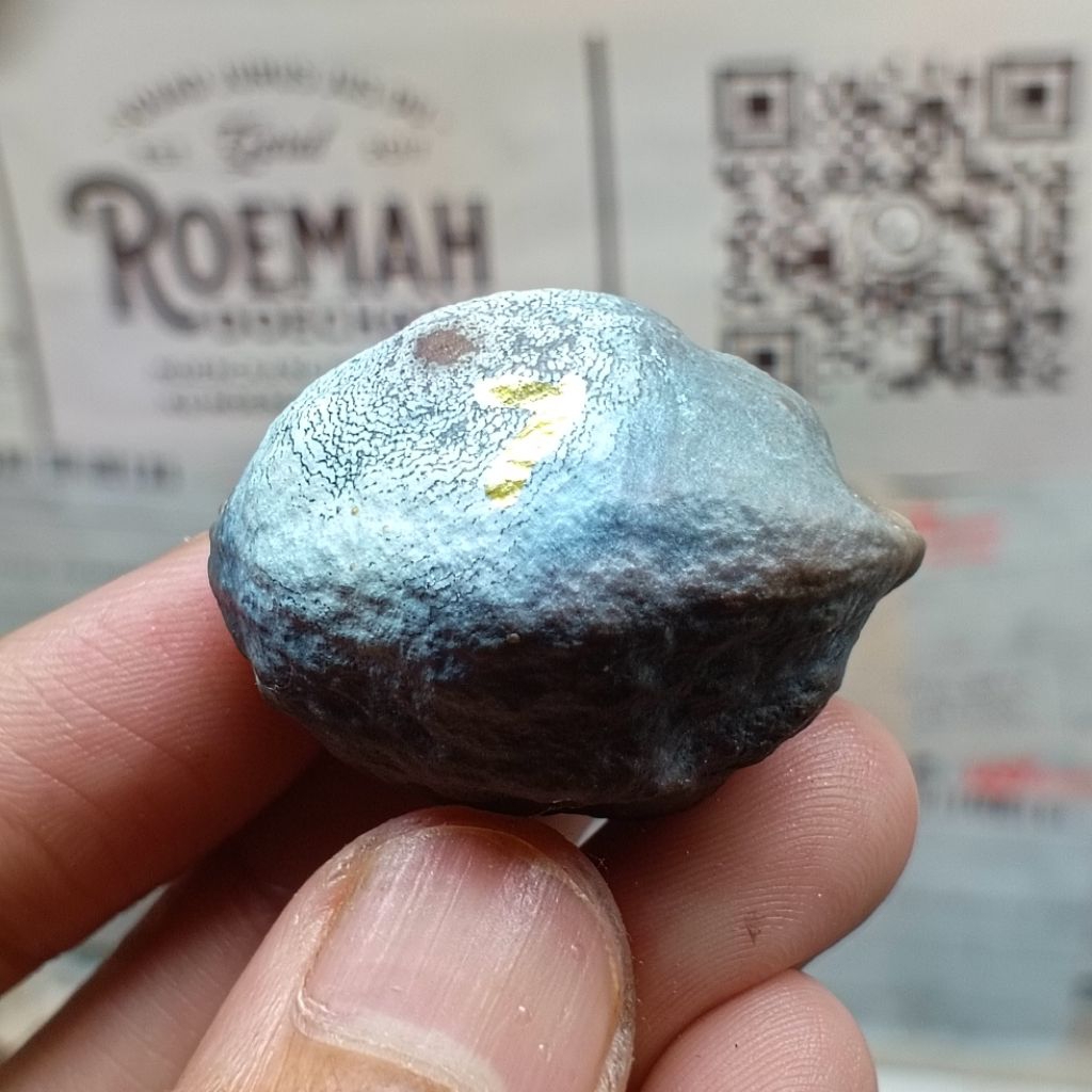 Muncang Adu Jabra Bella kode 7