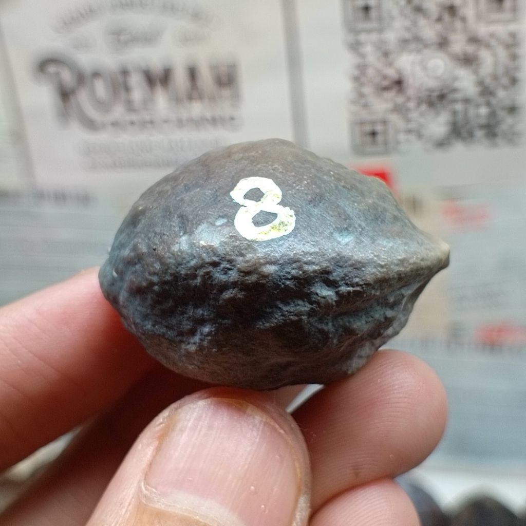 Muncang Adu Jabra Bella kode 8