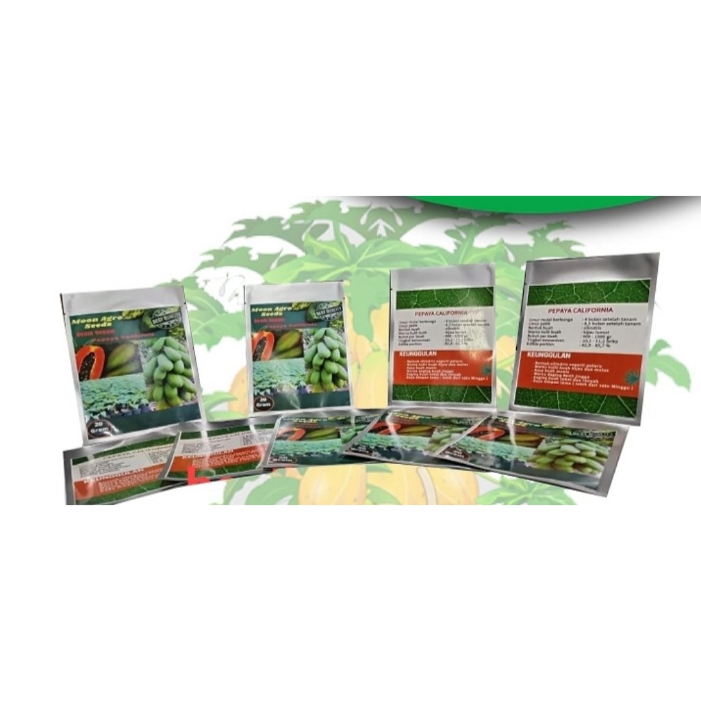 benih pepaya california/calina ipb9
