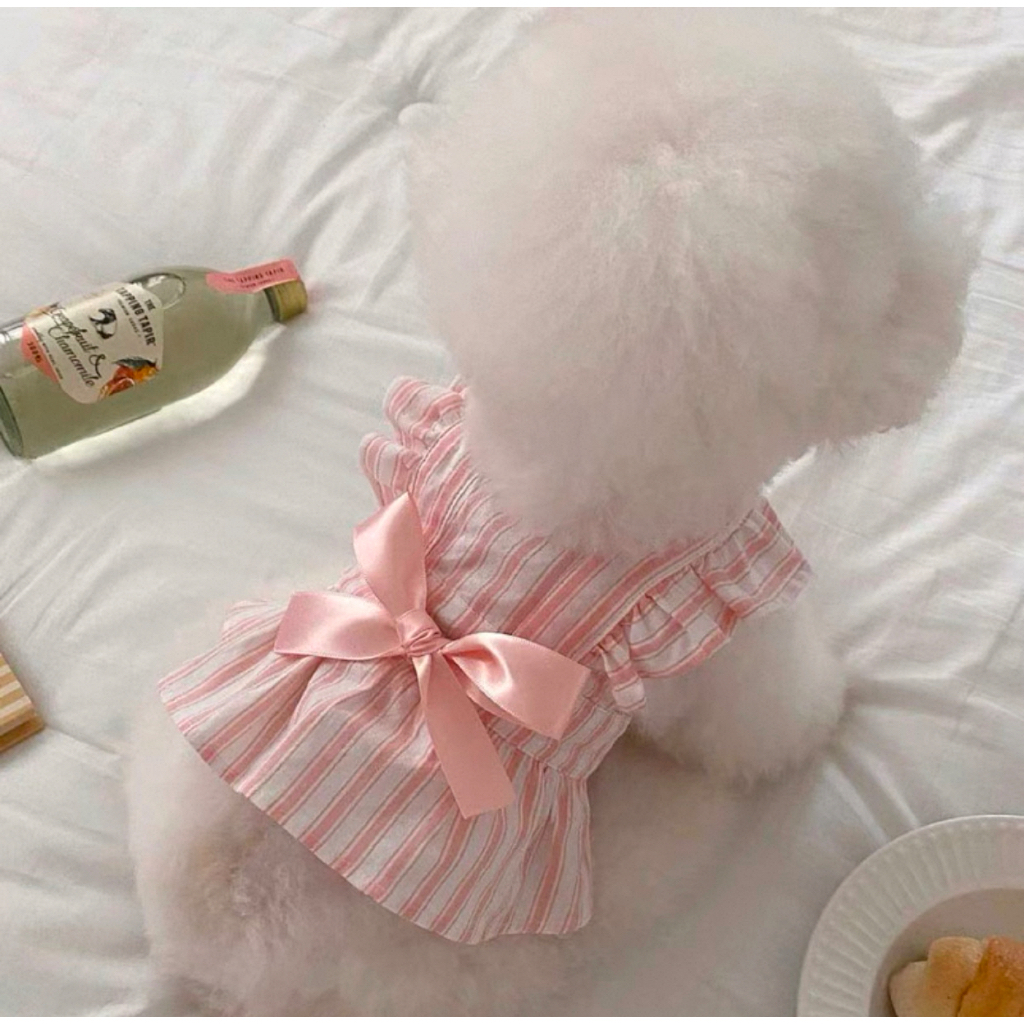 Dress Anjing Perempuan Korea / Baju Anjing Kecil Poodle Pomeranian Maltese