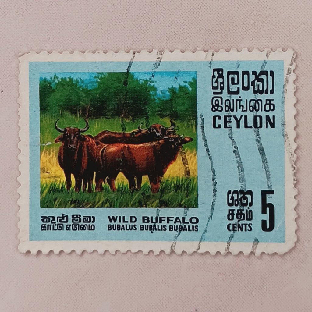 (AA) Perangko Ceylon (Sri Lanka) 1970 Wild Animals - Wild Buffalo (Bubalus bubalis bubalis) 5 cent U