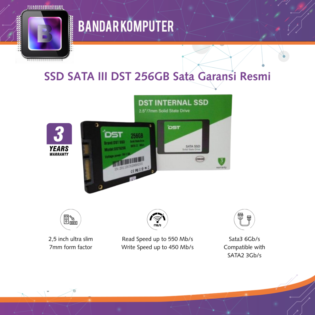 SSD SATA III DST 256GB Sata Garansi Resmi