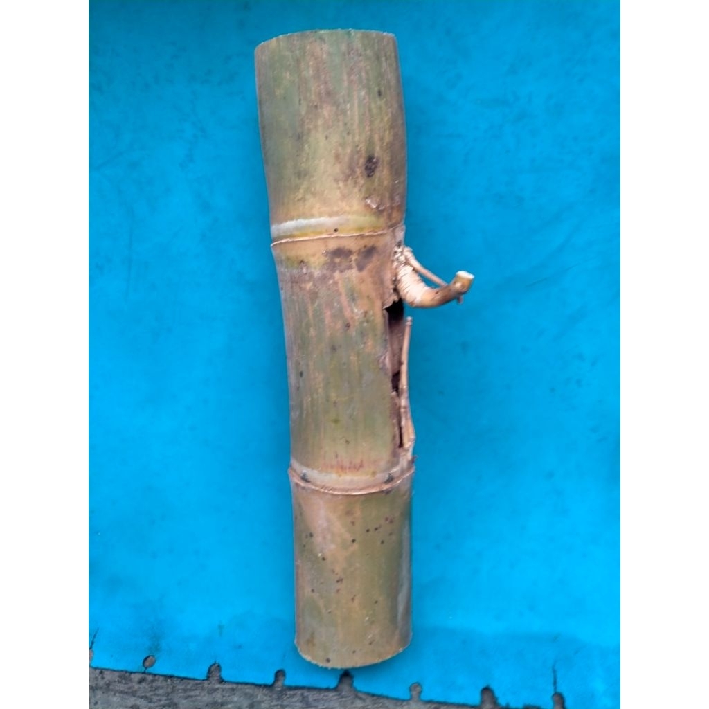 BAMBU UNIK PETUK JALU TOP BATANG UTAMA (39 CM) APUS ISTIMEWA