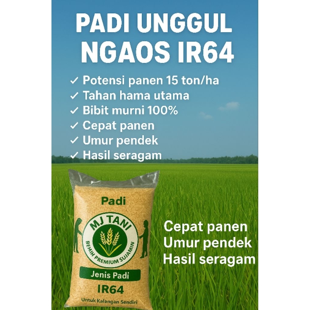 Benih padi unggul IR64 padi super kualitas super unggul kemasan 5kg