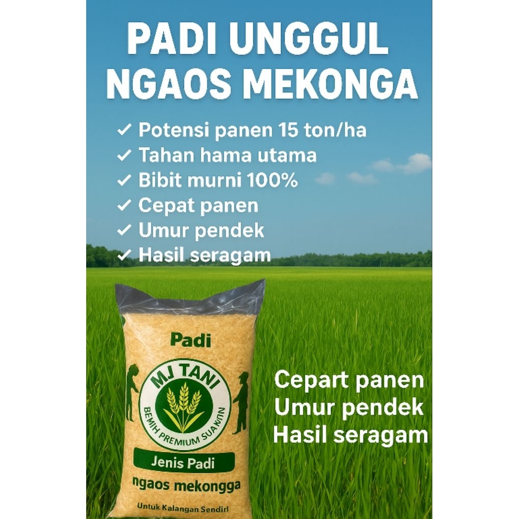 Benih padi unggul MEKONGGA super panen melimpah 5kg