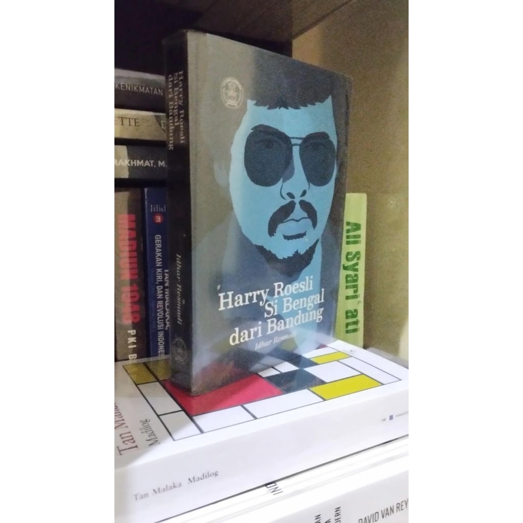 Harry Roesli Si Bengal Dari Bandung - Idhar Resmadi