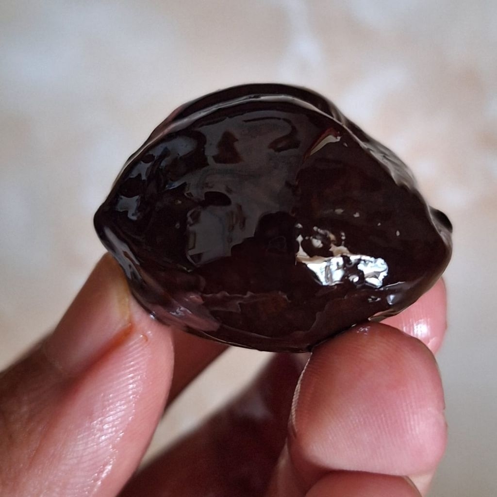 MUNCANG JENIS JALIM ANAK GURAME Pasangan Super