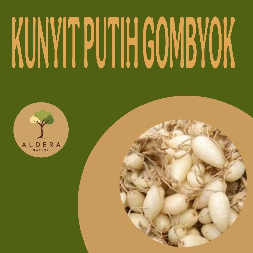 Kunyit Putih gombyok Segar (100gr)