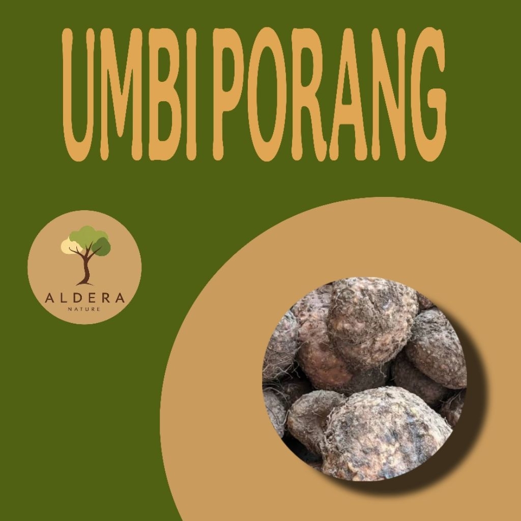 Umbi porang (1kg)