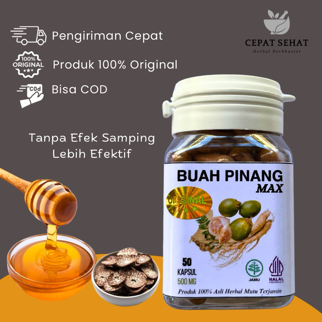 Kapsul Buah Pinang Muda MAX Isi 50 Original Herbal