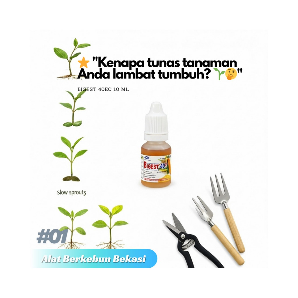 Bigest 40EC ZPT Gibberellic Acid