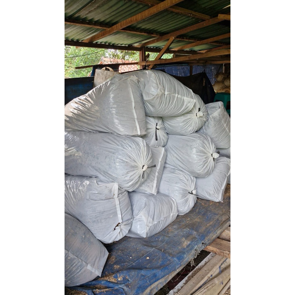 SILASE PAKAN TERNAH SAPI,KAMBING DAN DOMBA ,FERMENTASI TANPA CAMPURAN