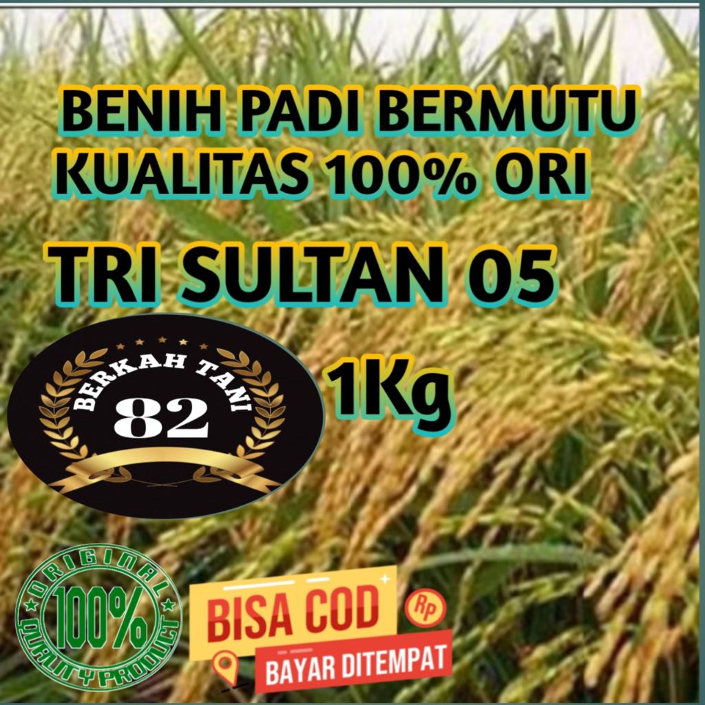 BENIH PADI TRI SULTAN 05 BENIH PADI UNGGUL PERAWATAN MUDAH POTENSI TINGGI (1KG)