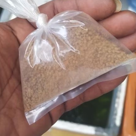 Pakan Khudus Udang Hias