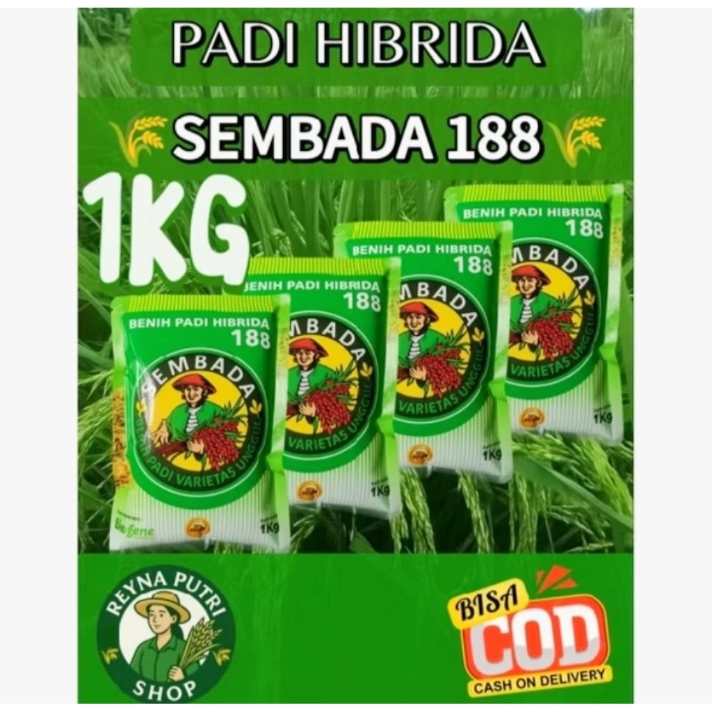 benih padi sembada 188 original kemasan 1kg