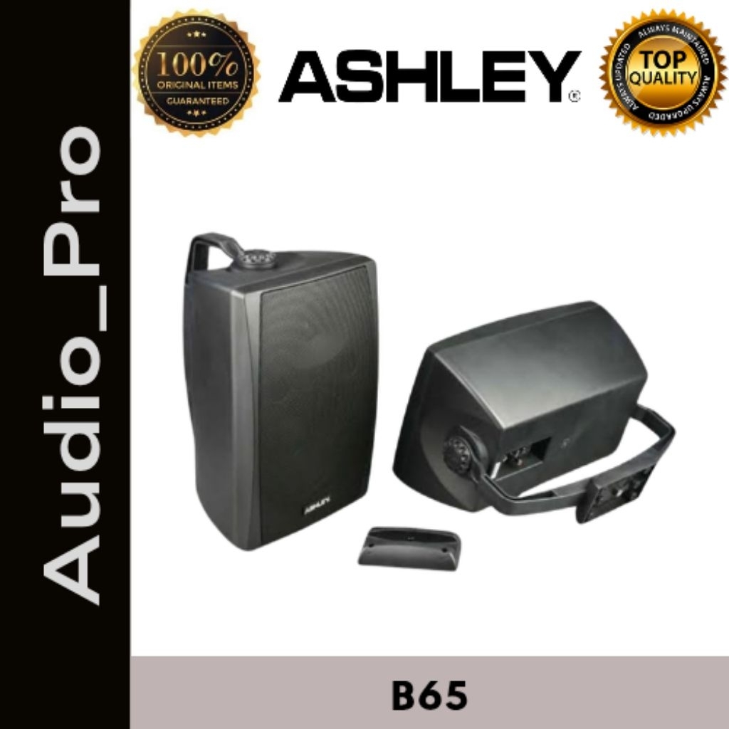Speaker Pasif Ashley 6" ASHLEY B65 (1 set isi 2 unit)