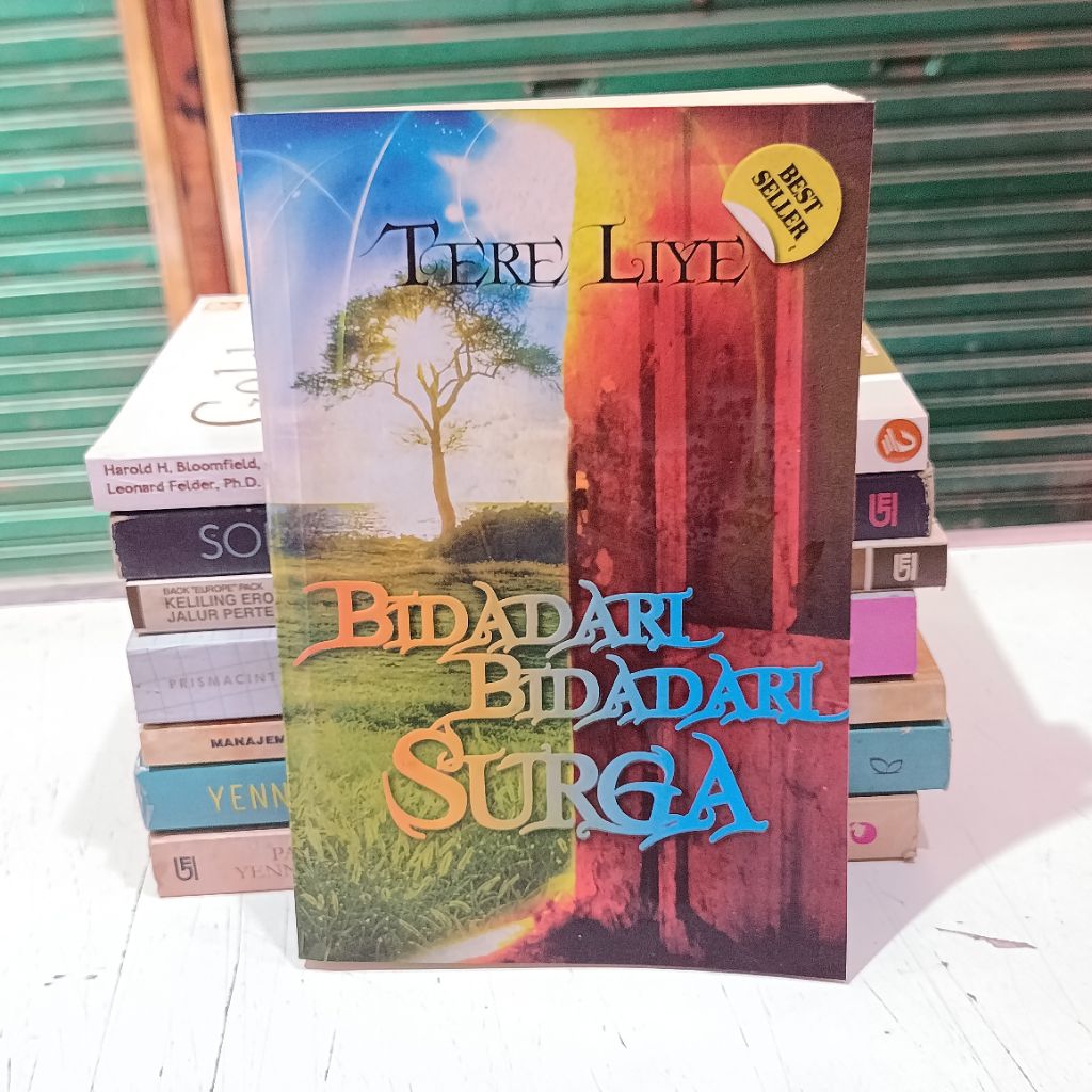 Novel Bidadari Bidadari Surga - Tere Liye