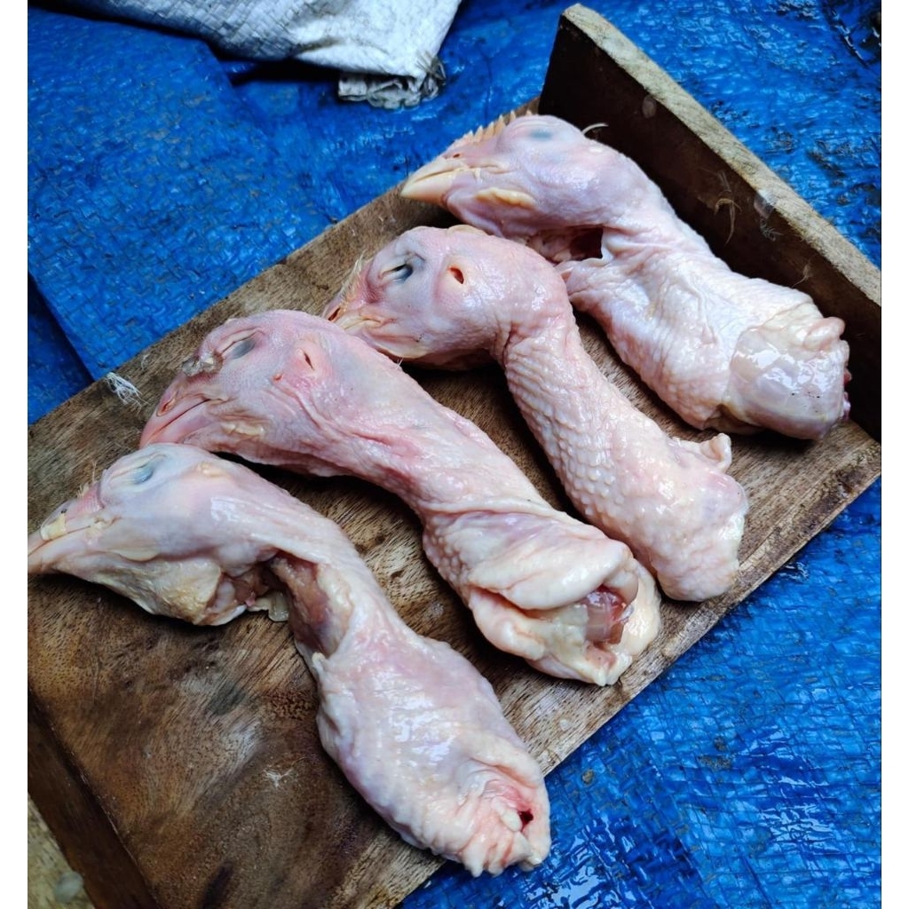 KEPALA AYAM KAMPUNG ±1KG