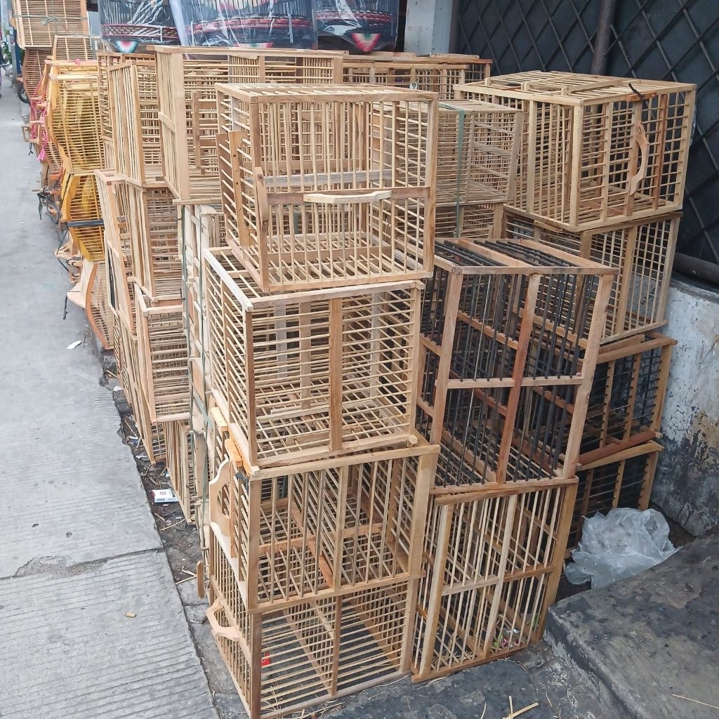 DONDANG DARA DONDANG MERPATI PINTU 4